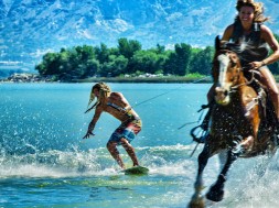 Tohle prostě chceš aneb surfovačka za koníkem