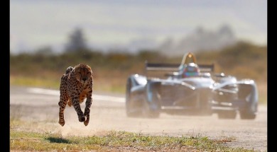 Formule vs Gepard
